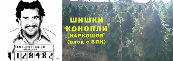 Альфа ПВП Аркадак