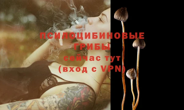Альфа ПВП Аркадак