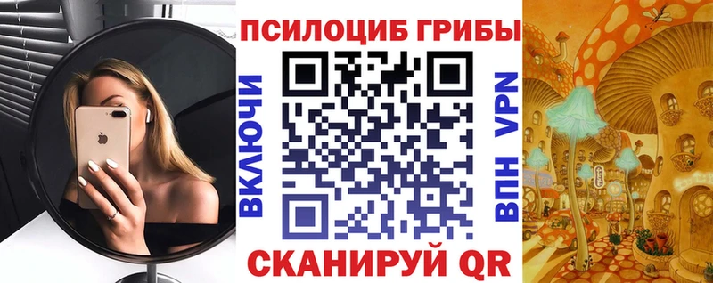 купить  цена  Фатеж  Псилоцибиновые грибы мухоморы 